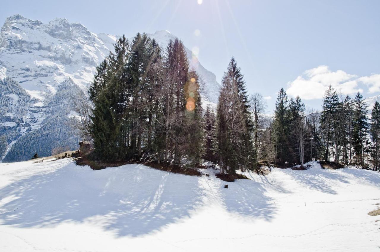 Grindelwaldgletscher - Griwa Rent Ag Apartamento Grindelwald